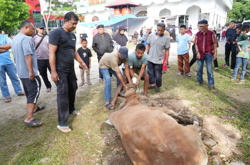 ISI Padangpanjang Laksanakan Qurban: Wujud Kepedulian Sosial dan Kebersamaan dalam Menyambut Idul Adha 1446 H