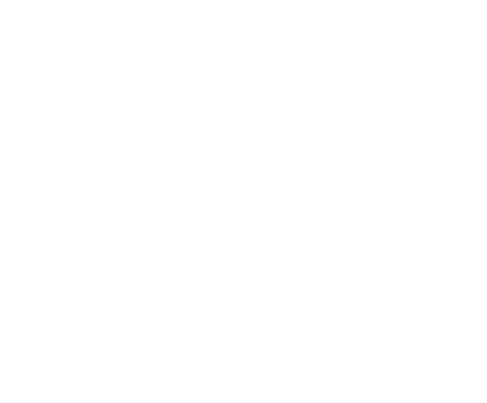 program-shape1.png